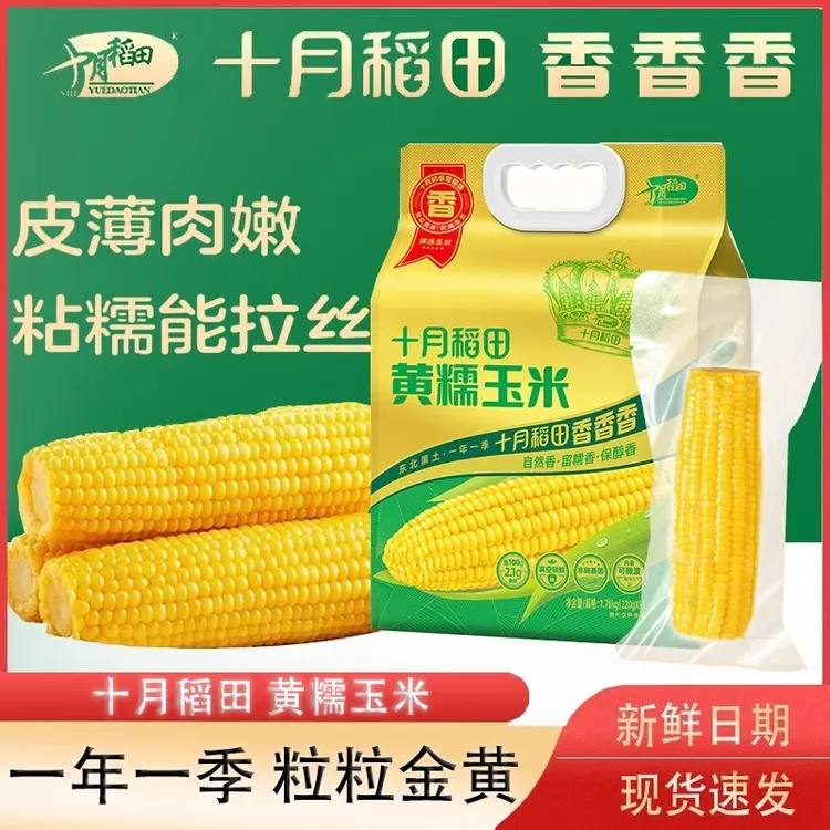 十月稻田黄糯白糯玉米新鲜苞米东北真空装包装袋大棒早餐食材