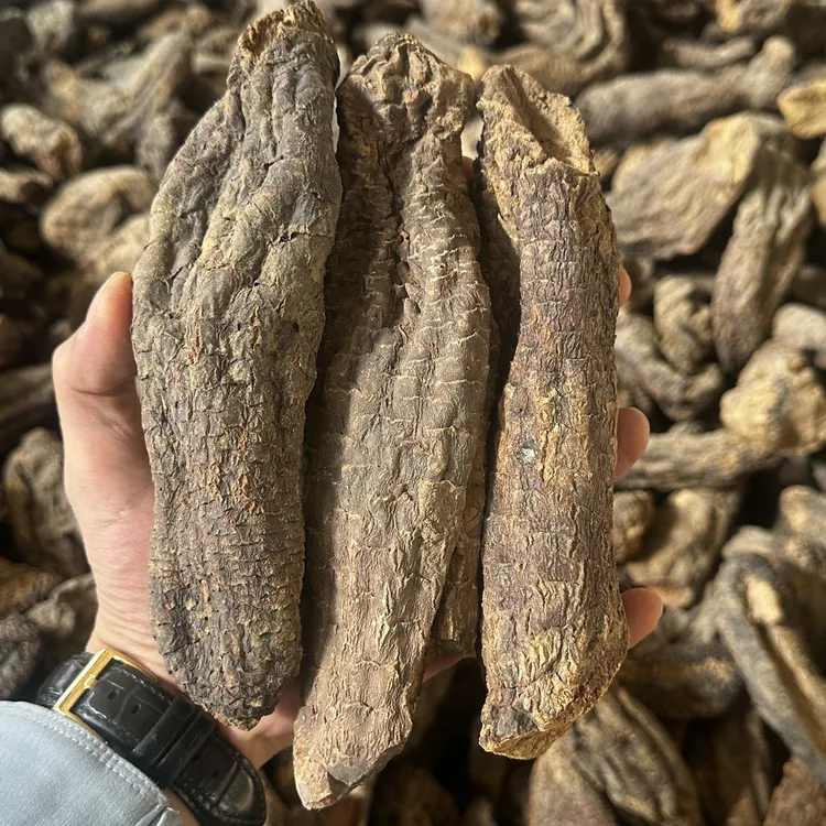 管花肉苁蓉-泡酒专用新疆和田原产地直发3-5年沙漠人参泡酒泡茶