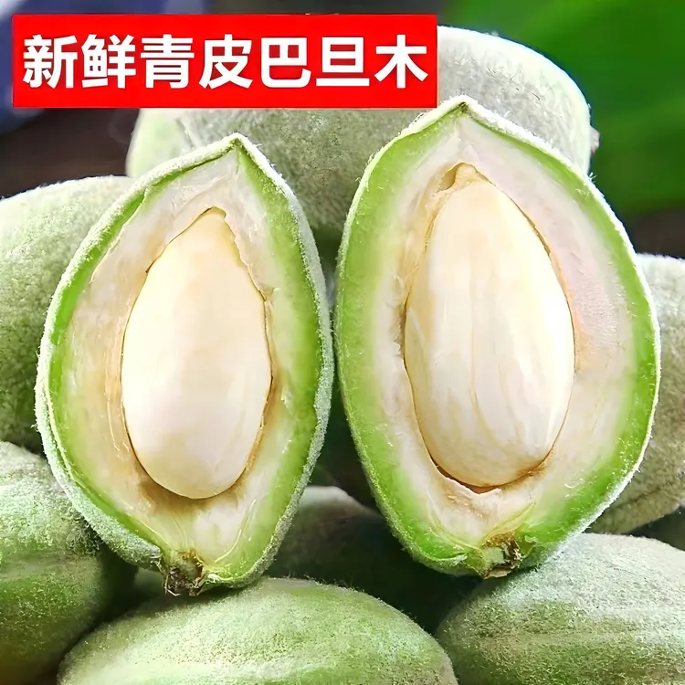巴旦木新鲜带壳青皮巴旦木大杏仁原味生扁桃仁香甜脆嫩现摘