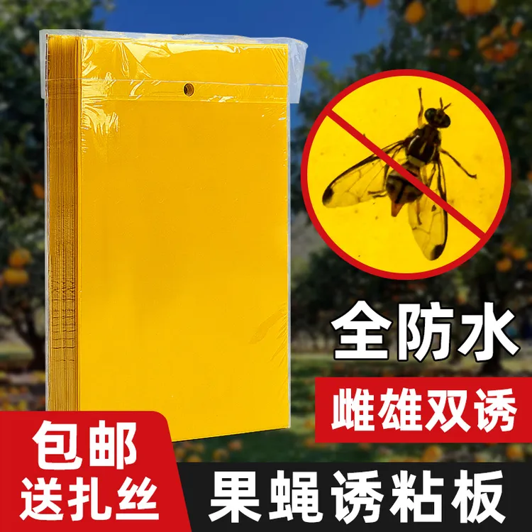 瓜果实蝇粘胶板苍蝇针蜂黄色诱粘板蜜蜂果树果实蝇诱捕器果园专用