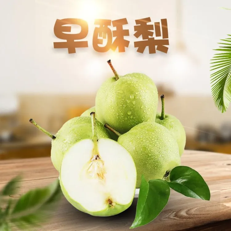陕西【早酥梨】精选5斤新鲜水果甜梨应季青皮梨早熟梨子非红香酥梨A
