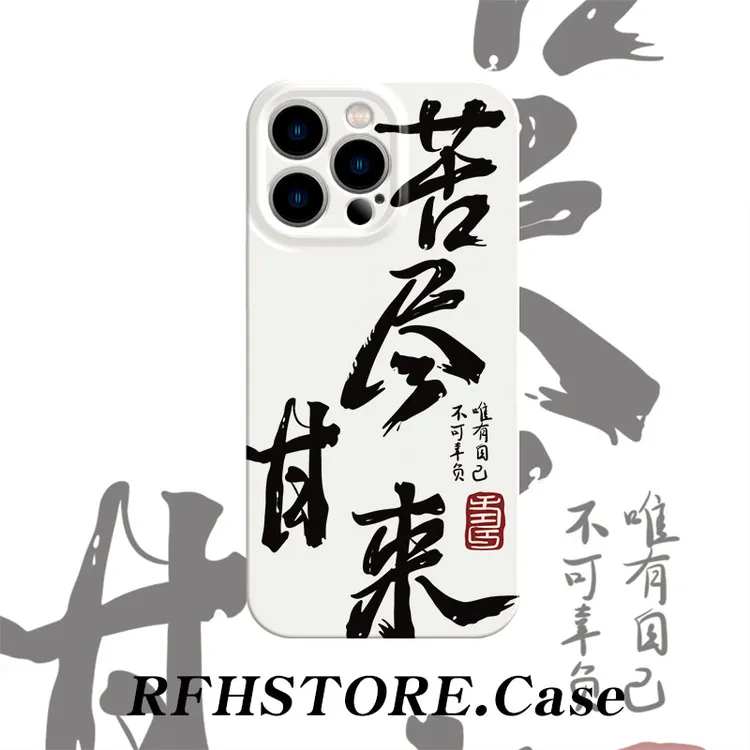 ZMGX高级感苦尽甘来适用苹果16pro菲林手机壳华为P70vivo小米oppo