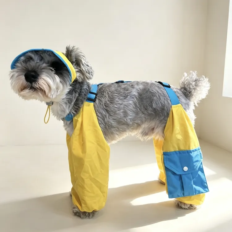 【三防】夏季狗狗衣服防脏裤雪纳瑞比熊泰迪柴犬西高地可爱网红裤子