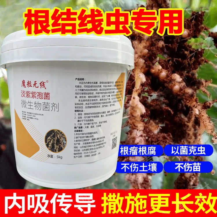 根结线虫颗粒专用药淡紫紫孢菌淡紫拟青霉农用果树根结线虫特效药