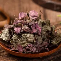  【袁瑞泽推荐】 金葵草 山货。