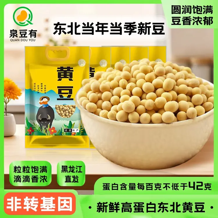 东北黄豆非转基因黄豆高蛋白黄豆豆浆专用豆