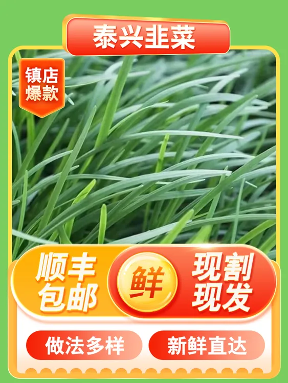 泰兴韭菜头茬鲜嫩现割农家自种现发新鲜时令蔬菜应季韭菜包邮顺丰