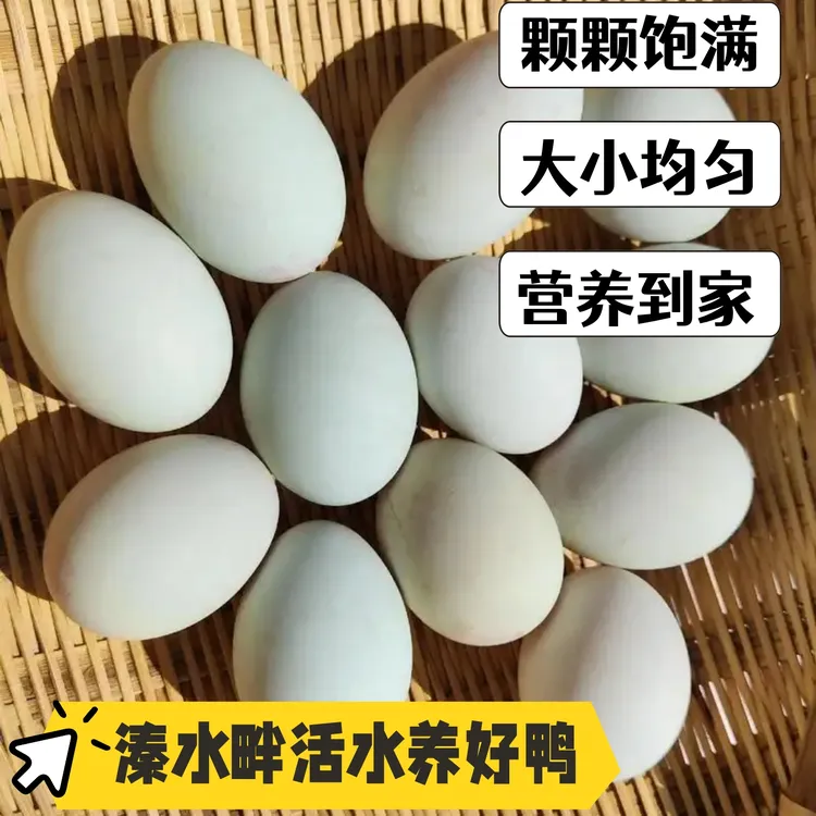 溱水畔湖边散养鸭蛋农家土鸭蛋新鲜现捡当天发货青壳青皮生鲜鸭蛋