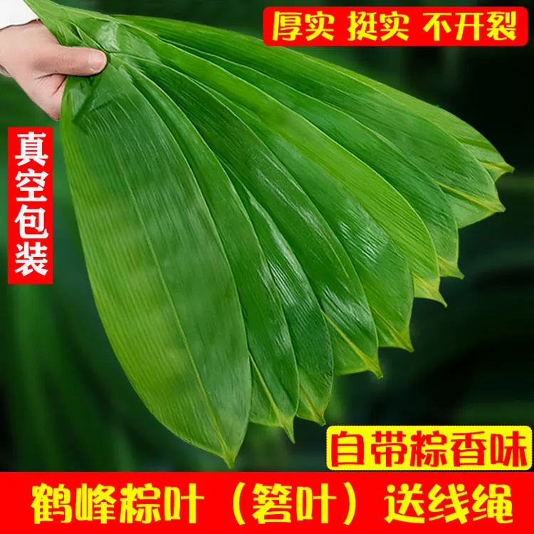 幸福屯新鲜大片粽叶50片*2把（共100片）