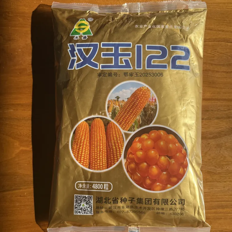 湖北种子集团汉玉122优质黄金品质