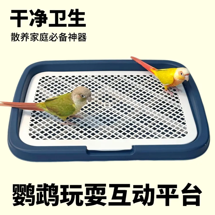 九九小鹦鹦鹉玩耍互动平台小型适用厕所双层设计防外溅防踩屎尿盆