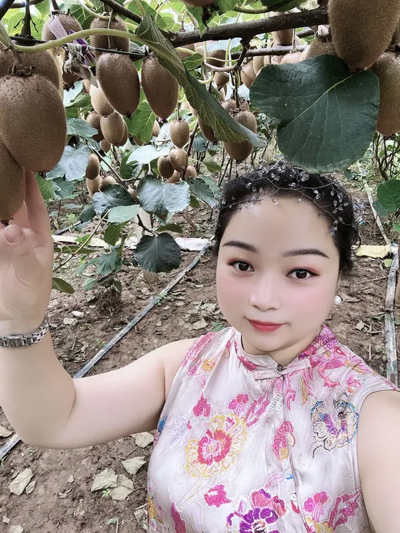 终南仙桃 陕西周至翠香猕猴桃精选鲜果新鲜采摘（高档礼盒装24枚）