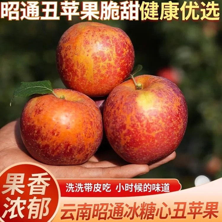 当季云南昭通丑苹果冰糖心新鲜红富士水果脆甜多汁5斤/8.8斤