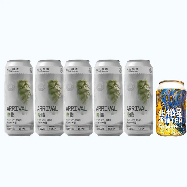 大九酿造 降临 搭配临期酒款 1套包顺丰  精酿啤酒