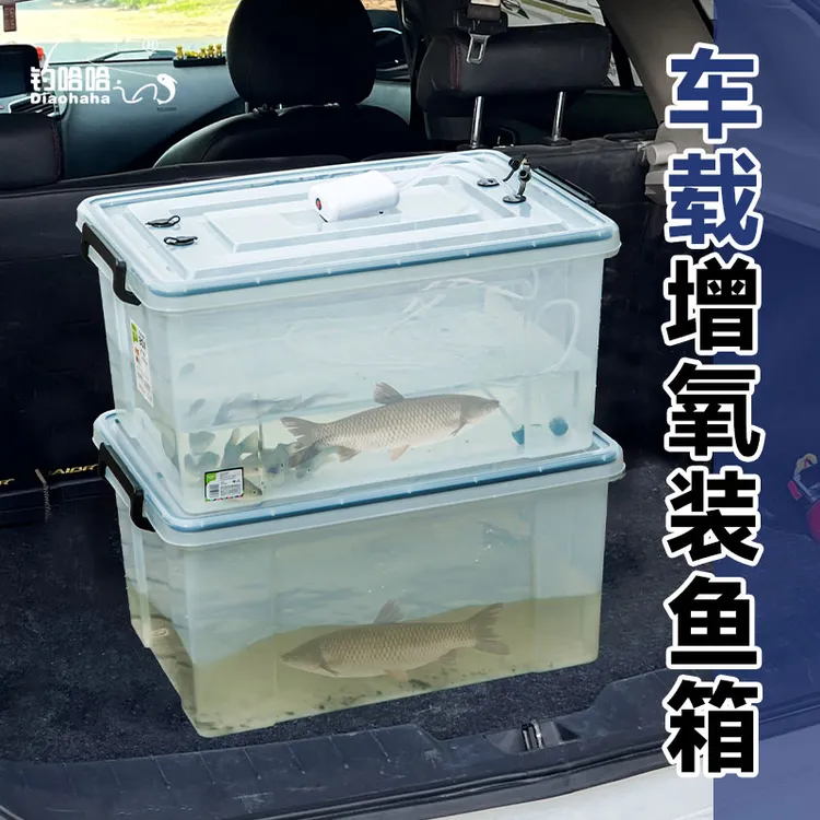 户外车载钓鱼箱后备箱活鱼桶大容量塑料箱海鲜水产养殖箱密封鱼缸
