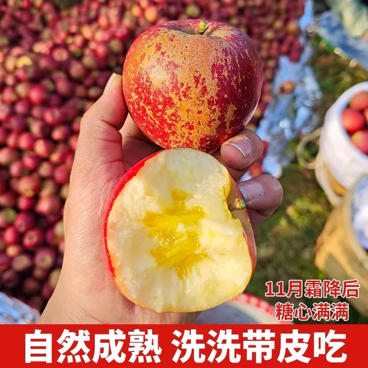 正宗云南昭通冰糖心丑苹果新鲜现摘脆甜多汁当季孕妇水果10斤装