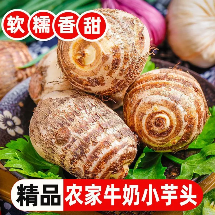 【头茬鲜果】正宗云南高山牛奶小芋头 新鲜应季 现挖 辅食粉糯香甜
