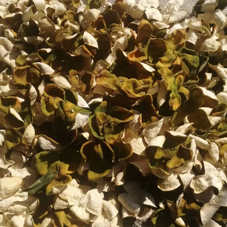 浦北陈皮 2025年（二红皮）纯天然生晒 香气足