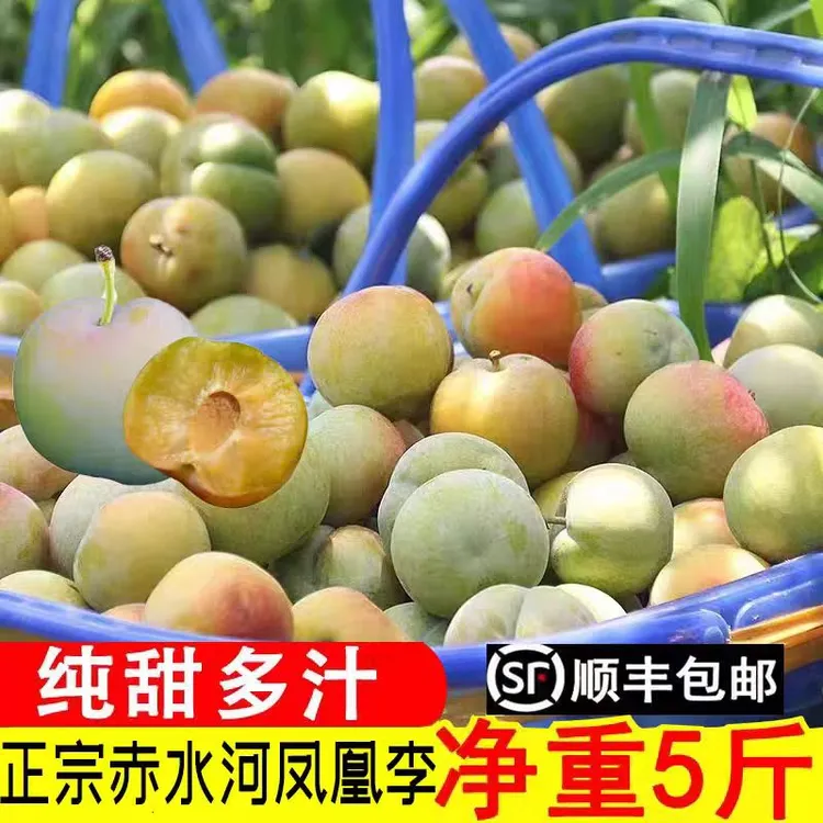 顺丰包邮李子贵州凤凰李脱骨李6斤