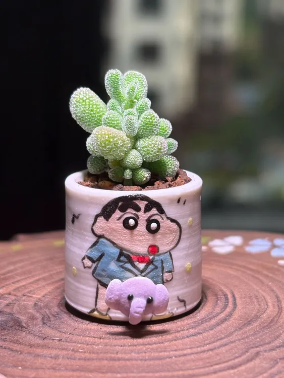 【一物一拍】拇指童趣可爱丑萌手捏釉烧拇指立体卡通创意多肉盆