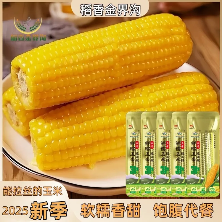 【试吃2根】25年东北黄糯玉米260-350g*10根软糯香甜饱腹代餐粗粮黏