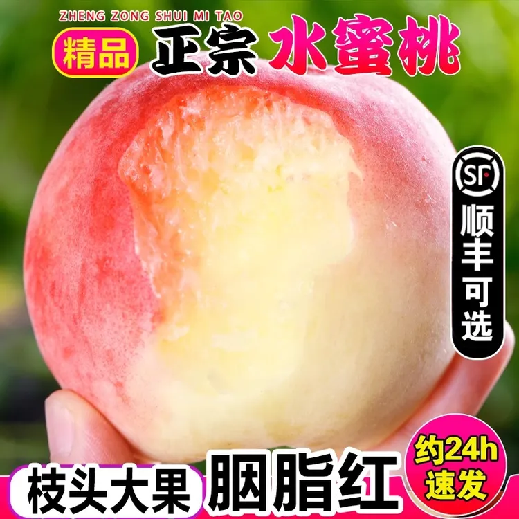 【顺丰】水蜜桃新鲜现摘桃子孕妇水果毛桃脆桃整箱包邮5斤大果