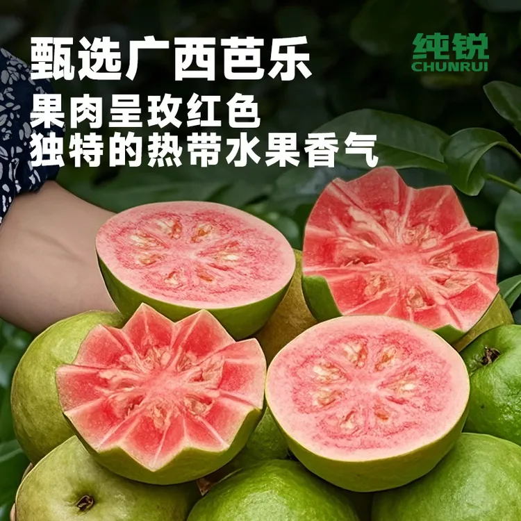 纯锐100%NFC红心芭乐汁清甜饮料果蔬汁袋装饮品夏季露营清爽饮品