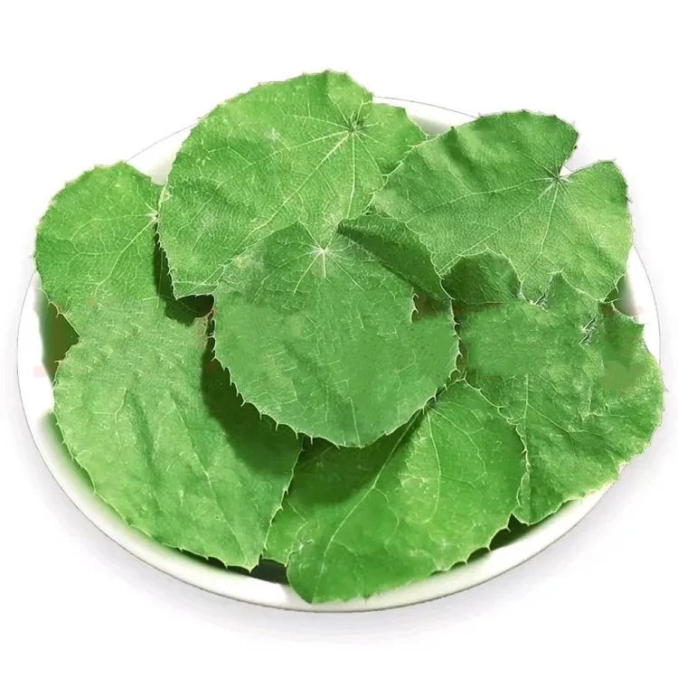 现泽堂（淫羊藿）甘肃岷县县三支九叶草自然晾晒手选精选