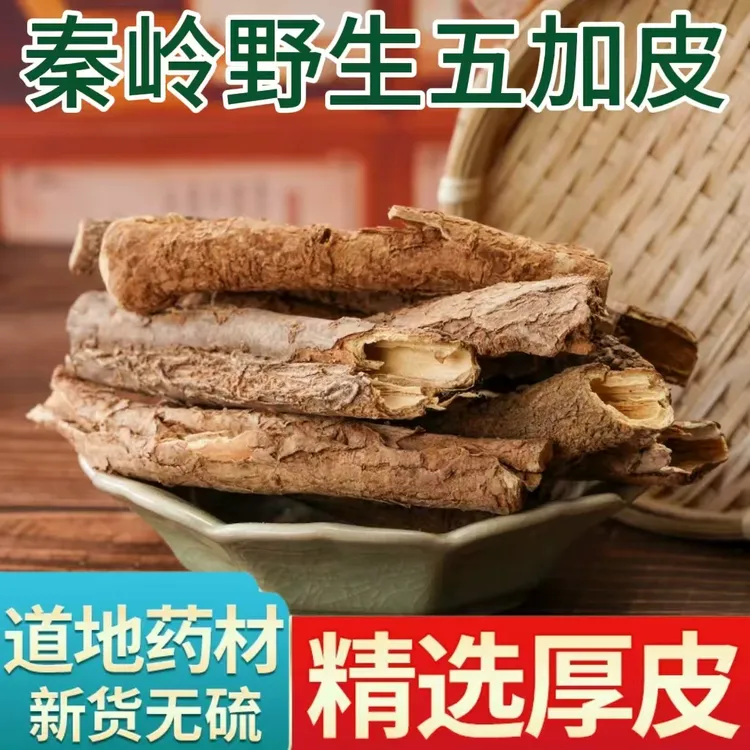 五加皮中药材精品秦岭野生新货正宗五加皮根批发散装无硫泡酒泡茶