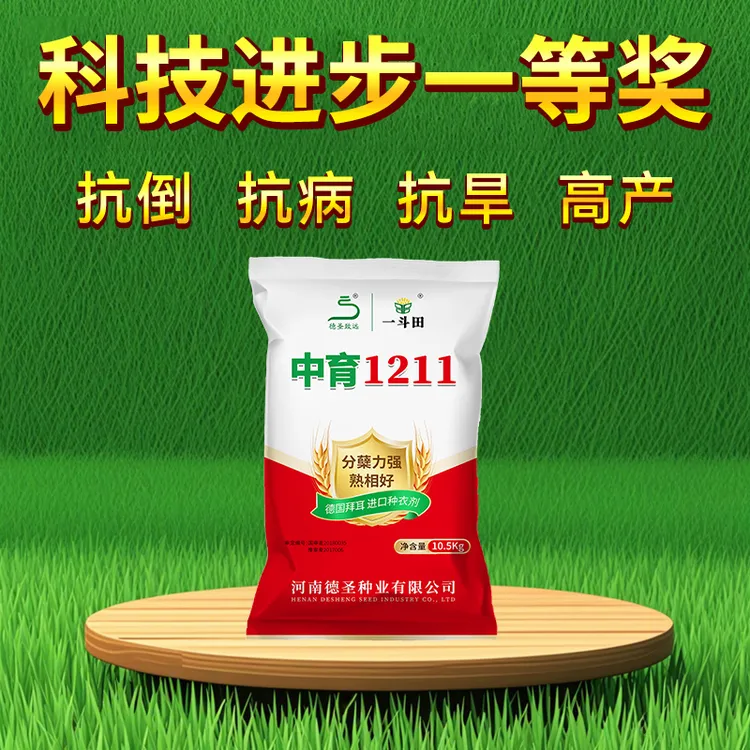 中育1211小麦高产种子10.5kg抗寒抗冻分蘖好穗子大正品保障产量高