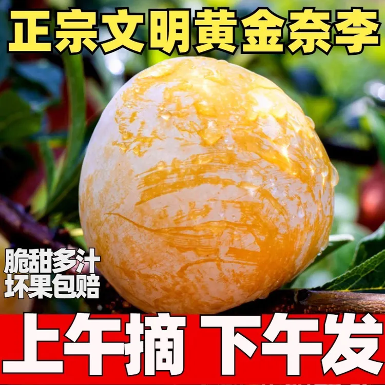 『京东快递 』湖南汝城文明黄金奈李现摘新鲜水果脆甜孕妇李子包邮