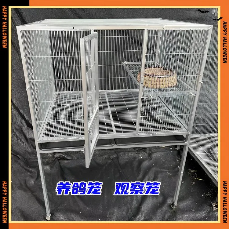 加密镀锌养鸽笼养鸟笼小宠物观察笼