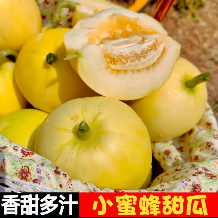 山东小蜜蜂甜瓜小蜜罐甜瓜新鲜直供香甜脆口应季水果