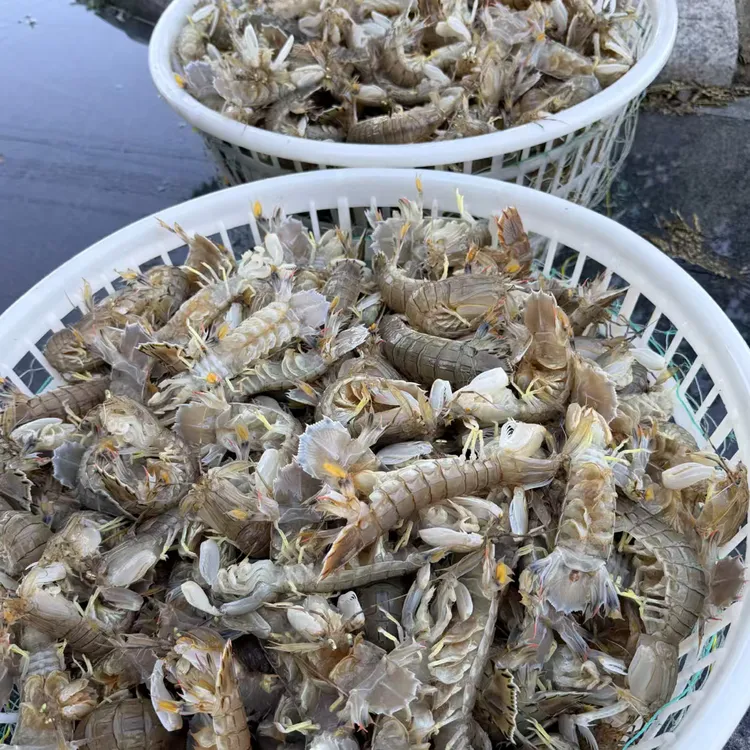 码头现场改价顺风包邮