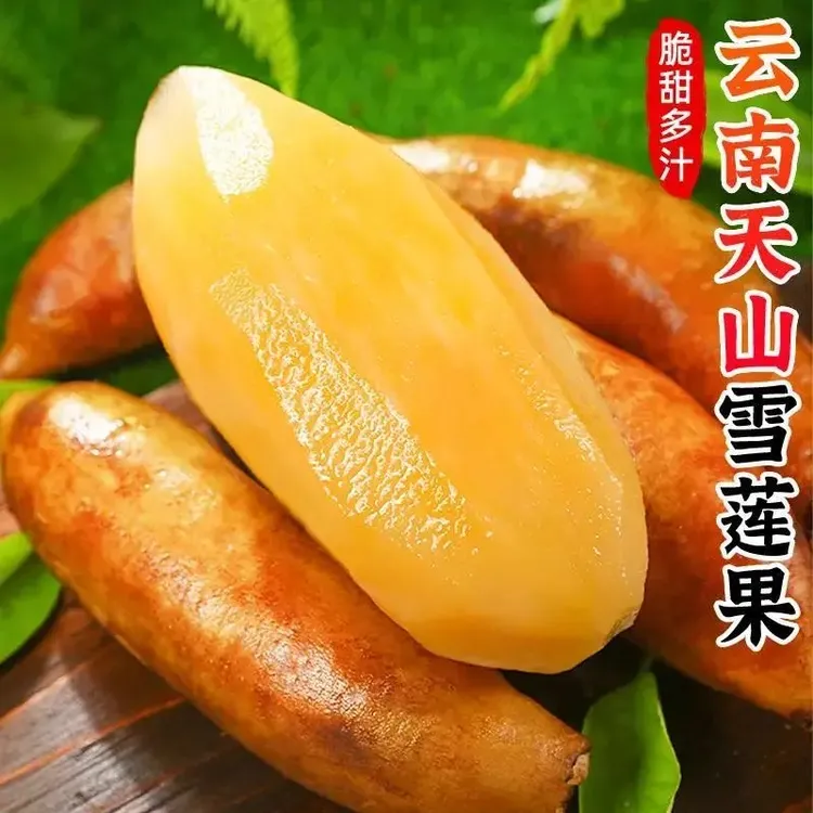 云南天山雪莲果清甜脆爽多汁黄心新鲜应季低糖水果现挖产地包邮