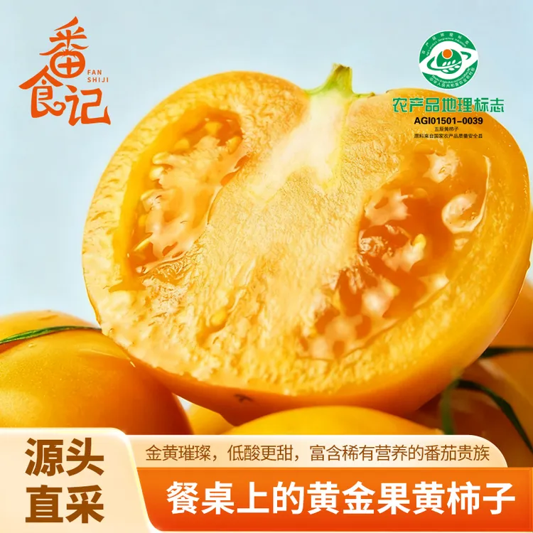 【黄金果】五原黄柿子黄色番茄沙甜绵密多汁新鲜自然成熟现摘现发