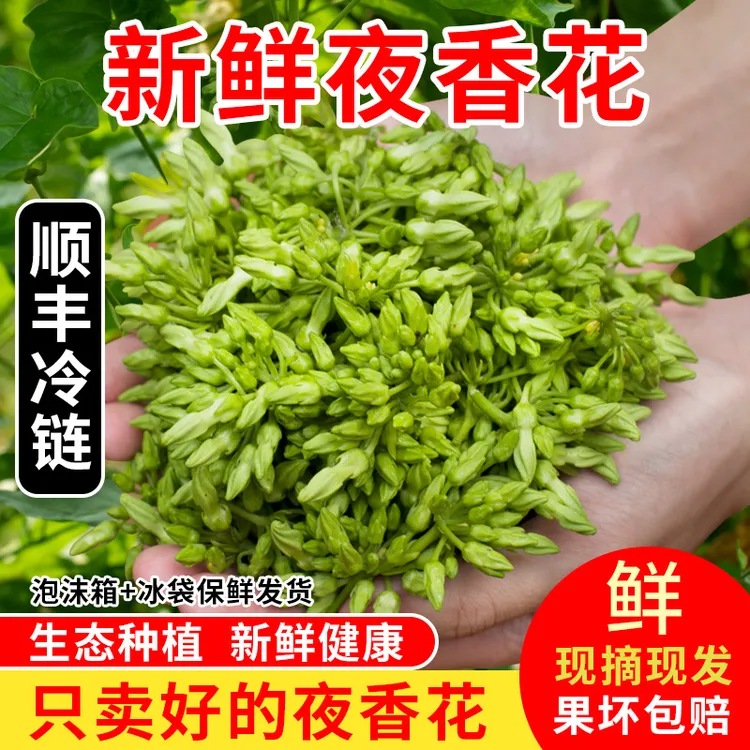 【顺丰发货】新鲜夜香花食用新鲜1斤绿珍珠香兰花 非夜来香西餐摆