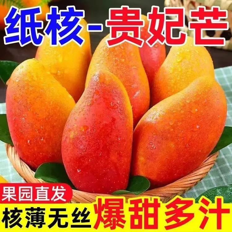 【变软吃】新鲜现摘贵妃芒果 新鲜水果皮薄香甜多汁 坏果包赔