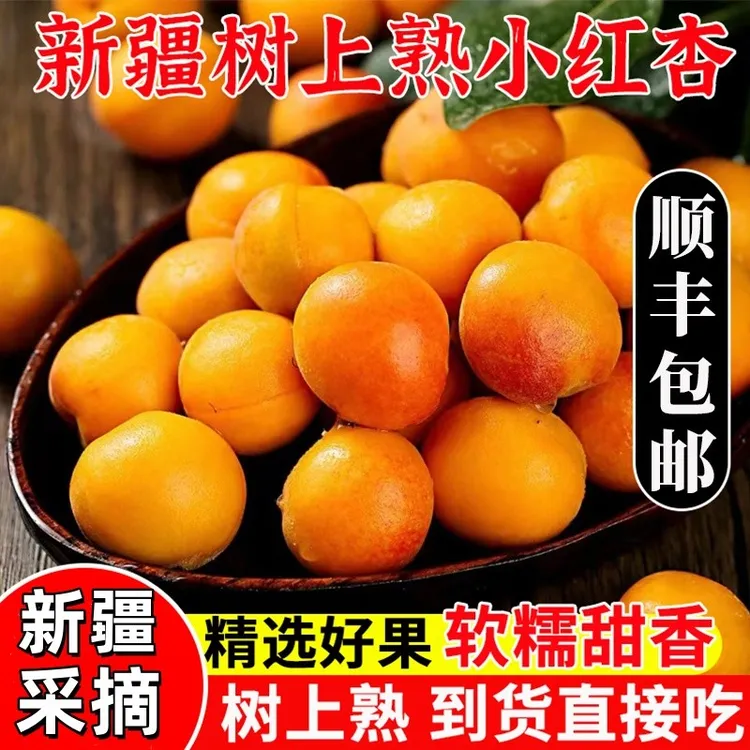 【疆果直发】新疆阿克苏小红杏吊干杏新鲜杏子水果当季甜过小白杏