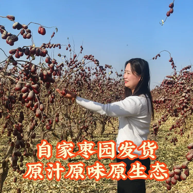 2025年和田大枣2，3级混级装红枣原生态吊干枣未加工计划