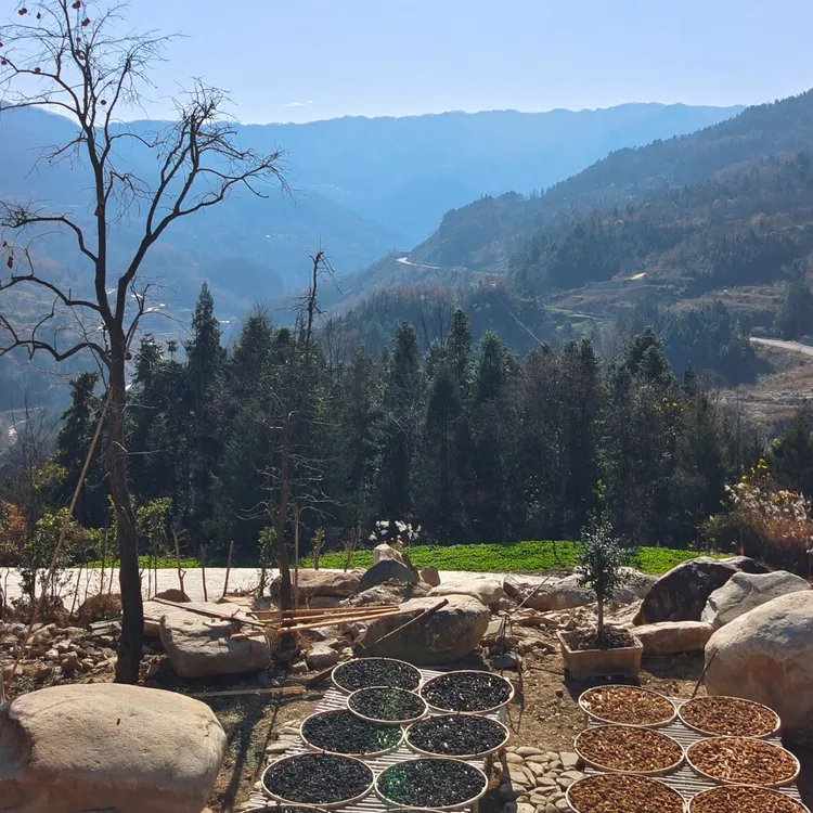 【炁宇专属】武当山采挖自然生长手工制九蒸九晒仙人粮泡水即食