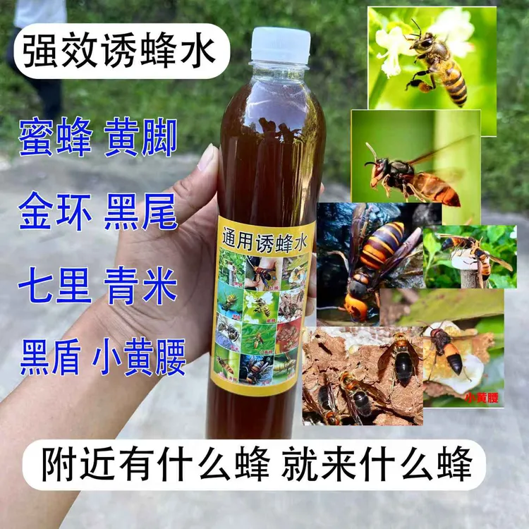 通用型高效诱蜂水针对蜜蜂诱蜂水黄脚黑盾黑尾诱蜂水金环诱蜂水