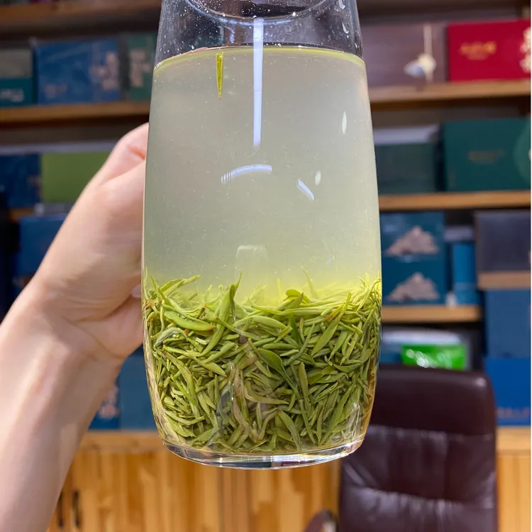 【500小芽】新茶 信阳毛尖 嫩芽 茶叶礼盒