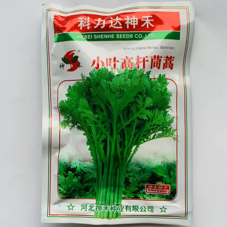 清香圆叶茼蒿种子板叶茼蒿种小叶高杆茼蒿种子春秋种植
