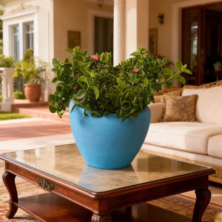 北欧简约风格镁泥花盆家用室内外兰花发财树多肉盆栽适用