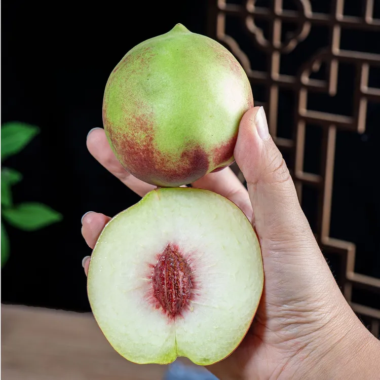 【小冬桃-冬雪蜜桃2】脆甜山桃蜜桃小毛桃离核现摘应季水果桃子硬桃