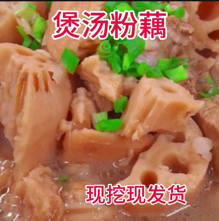 新鲜粉藕现挖现发货煲汤炖肉软糯香甜