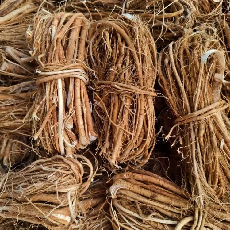 粤西新挖五指毛桃老年份足干货客家农土特产煲汤料