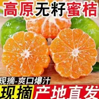 现摘高山无籽青皮蜜桔新鲜应季酸甜可口水果