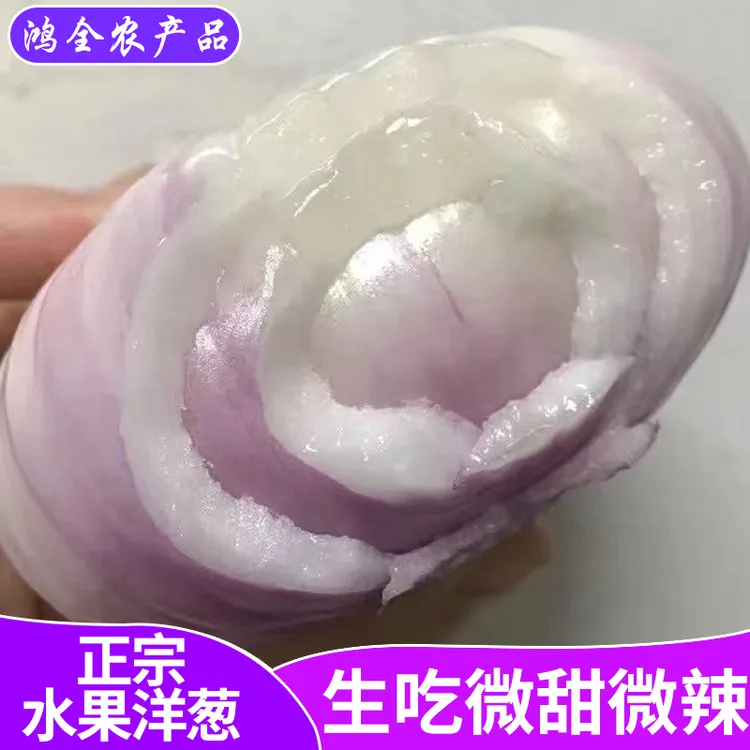 （精品红象）山东紫皮扁圆水果洋葱生吃微甜农特产脆微辣微甜5斤 装